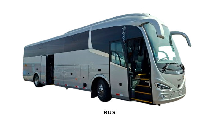 Bus